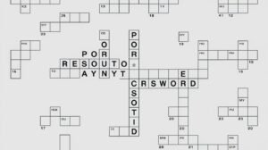 Poor Resolution Say NYT Crossword