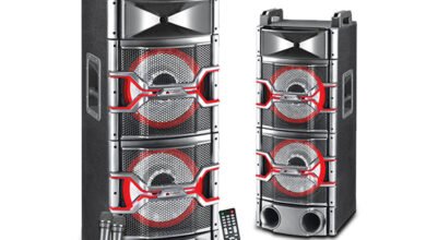 DJ Speaker Price