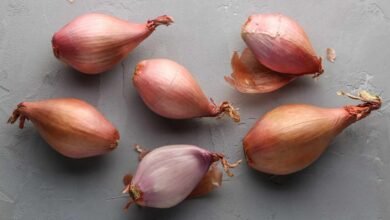 Shallots